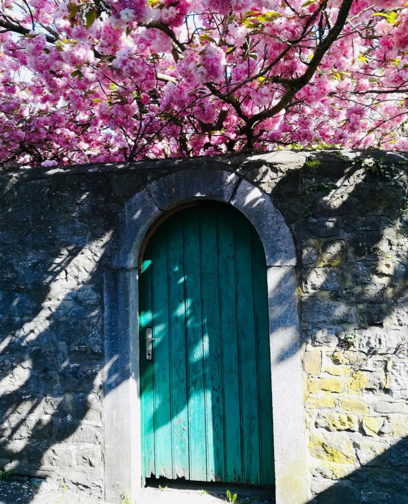 B&B La Ruelle Profondeville Dış mekan fotoğraf